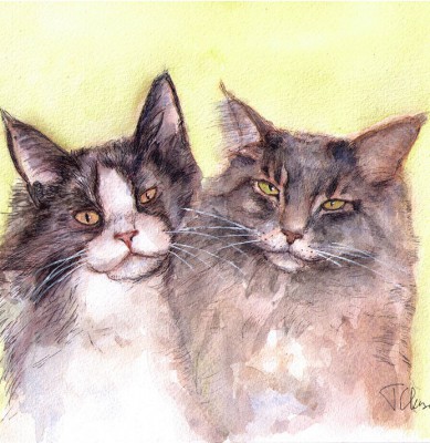 Commissioned cat portrait drawing in watercolor and pen
