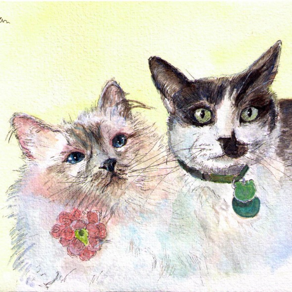 Portrait of two cats called Mauricio and Allie in pen and watercolor